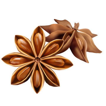 Star Anise Illustration Images – Browse 9,429 Stock Photos, Vectors, and  Video | Adobe Stock