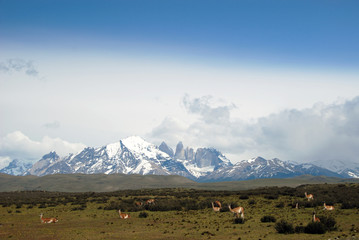 Torres del Paine Park in Chile