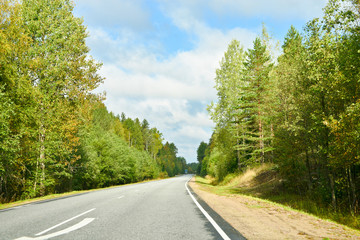 Fototapeta na wymiar Summer road in Russian forest