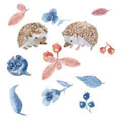 Hedgehogs and flowers/ Watercolor painting. Can be used for postcards, prints, paper wrapping and design