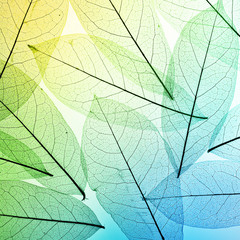 Obraz na płótnie Canvas Macro leaves background texture