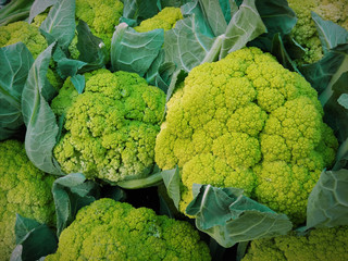 Some green cauliflower in a street market. Natural vegetables.