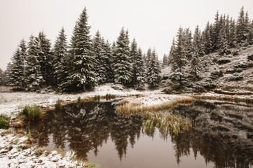 Obraz na płótnie Canvas Winter reflection on the lake
