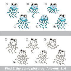 Visual game. Find hidden couple of Jellyfish