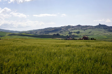 Fototapeta premium toskana landschaft