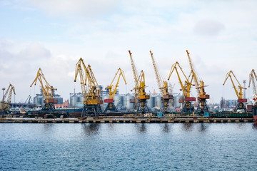Obraz premium сargo cranes in the port