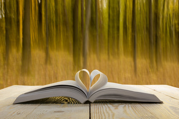 Open book at wooden table on natural blurred background. Heart books page. Back to school. Copy...