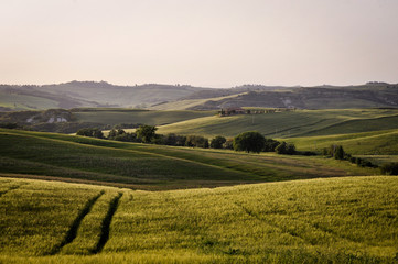 toskana landschaft