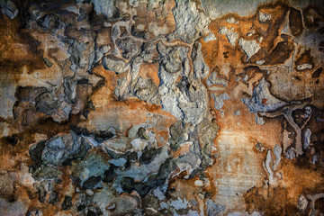 Plastered damaged grunge wall