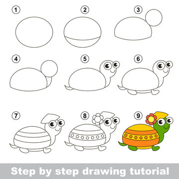 Drawing tutorial. How to draw a Turtle
