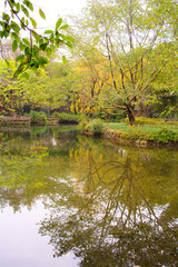 Fototapeta na wymiar Landscape of chinese park.