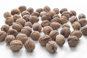 Орех грецкий.