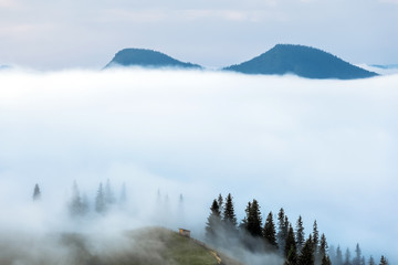 Carpathian Mountains. The mountains in the fog