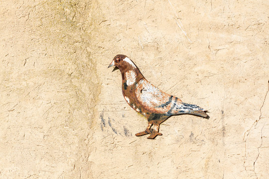 Dibujo de paloma en pared de palomar, Villarrín de Campos. Reserva Natural de Las Lagunas de Villafáfila, Zamora.