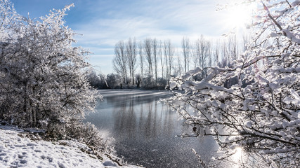 sonne am winterlichen see