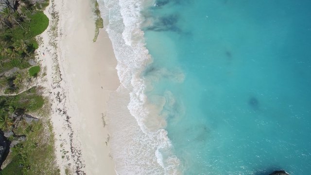 Caribbean Beach - Birdseye