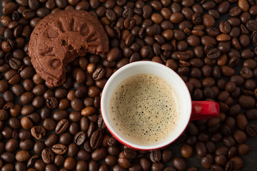Homemade chocolate cookies on the coffee beans