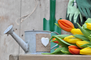 arrosoir décoratif et bouquet de tulipes sur caisse en bois  © coco