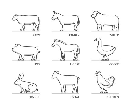 Linear set of farm animals. Vector silhouettes animals isolated
