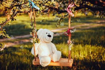 beautiful white Teddy bear on Swing on nature