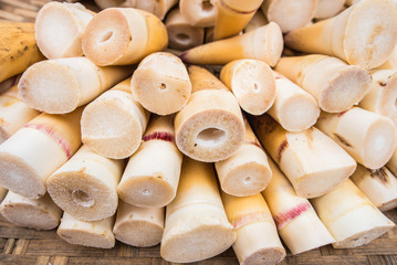 Raw bamboo shoot