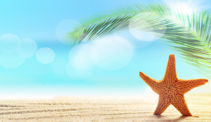 Fototapeta na wymiar Summer beach with a starfish on a background of the tropical ocean