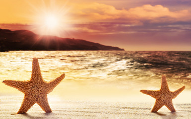 Plakat Summer beach with a starfish on a background of the tropical ocean
