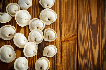 raw ravioli with meat 