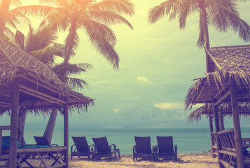  palm tree,sea and island sand beach coast,vintage effect added