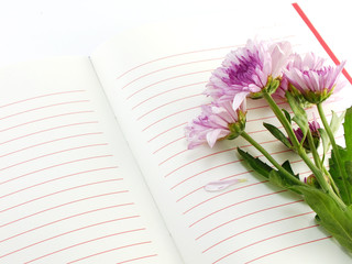 Naklejka premium open notebook and beautiful chrysanthemums pink flowers bouquet