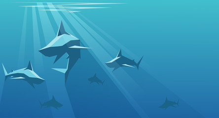 Sharks