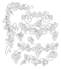 Design elements with bunches of grapes and vines in vintage style.