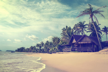  palm tree,sea and island sand beach coast,vintage effect added