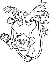 monkey
