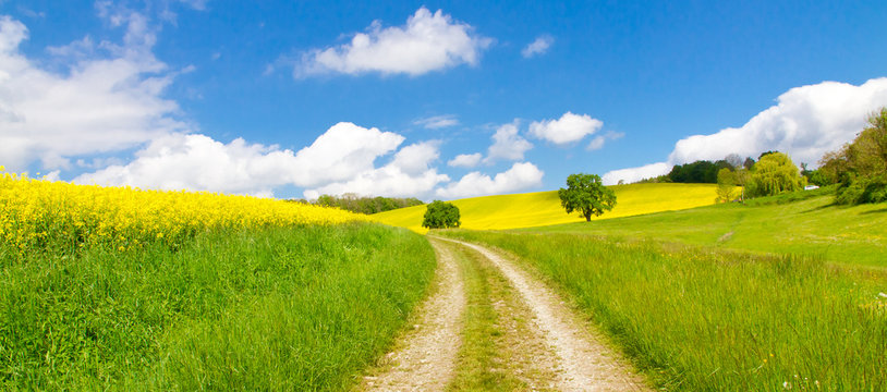 Weg im Fr&uuml;hling - Way in springtime