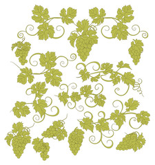 Design elements with bunches of grapes and vines in vintage style.