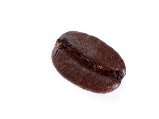 One coffee bean on white background