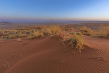 Fototapeta na wymiar Twilinght at Elim Dunes