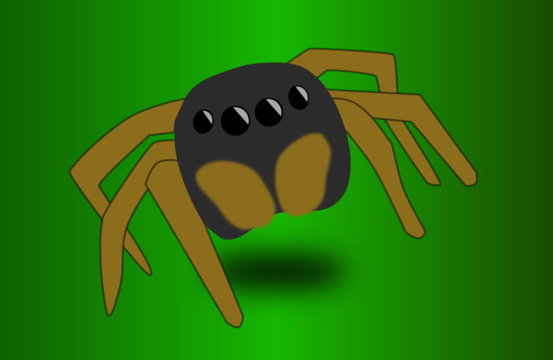 jumper saltigrade spider on leaf