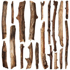 Tree branches set