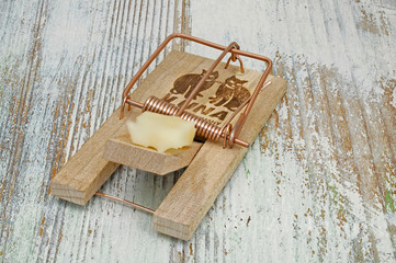 einzelne Mausfalle mit Kaese als Lockmittel