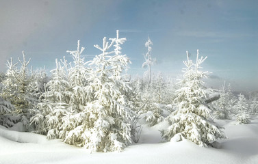 Winter mit Schnee im Schwarzwald