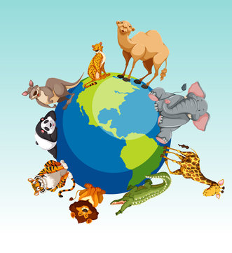 Wild animals around the earth