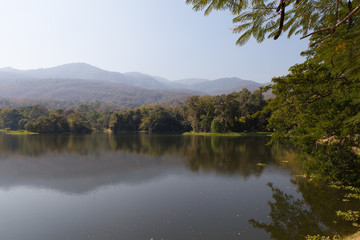 mountain and the pond in the park