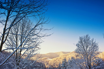 winter landscape. Karpatians