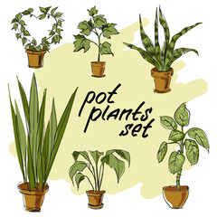 Pot plants set. Hand-drawn design elements