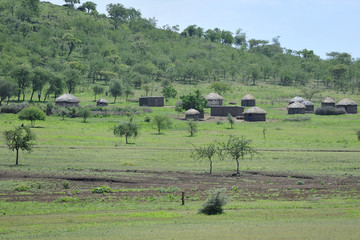 Fototapeta na wymiar Tanzania parco Serengeti Ngoro Ngoro villaggio Masai