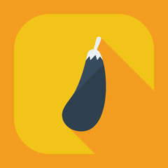 Flat modern design with shadow icons eggplant