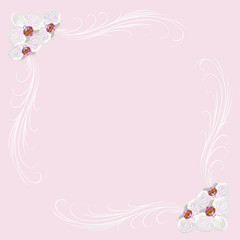Delicate frame with orchid flowers on pink background.
