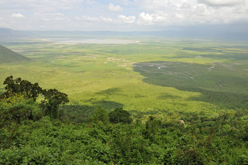 Fototapeta na wymiar Tanzania parco cratere Ngoro Ngoro